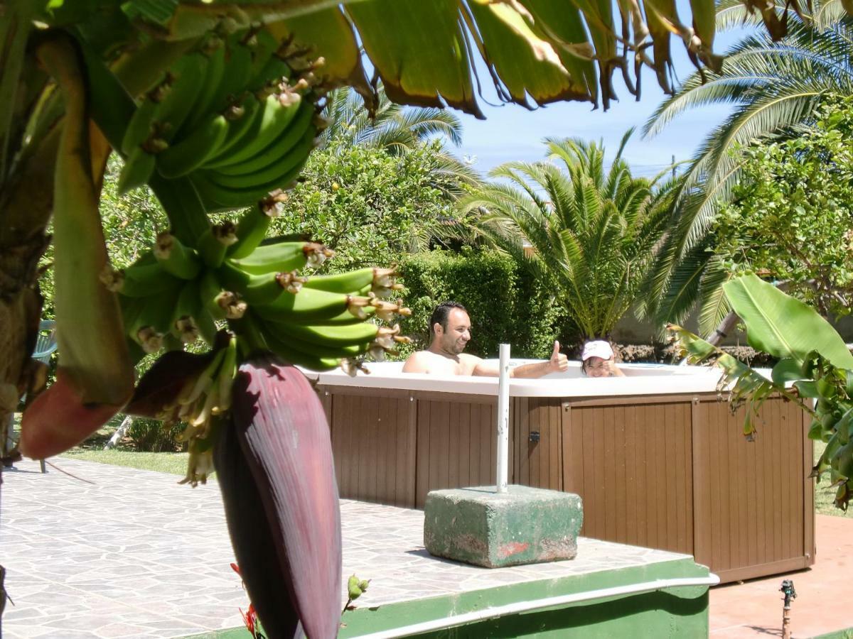 Finca La Gaviota - Los Limoneros إيكود ذي لوس فينوس المظهر الخارجي الصورة